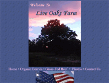 Tablet Screenshot of live-oaks.com